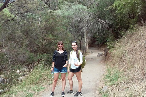 Self-Guided Waterfall Gully To Mount Lofty Hike From Adelaide - Restaurant Gold Coast 4