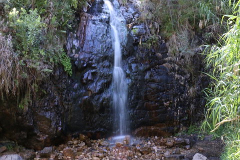 Self-Guided Waterfall Gully To Mount Lofty Hike From Adelaide - Restaurant Gold Coast 5