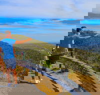 Private Tour Mornington Peninsula Family Maze and Fun - Restaurant Gold Coast