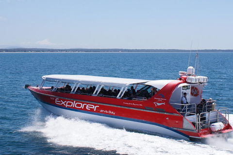 Whale Watching Jervis Bay - Restaurant Gold Coast 1