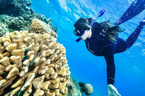 Green Island Day Trip From Cairns - Restaurant Gold Coast 1