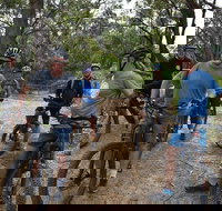 Fully guided E-Mountain Bike Tour on the beautiful Mornington Peninsula. - Restaurant Gold Coast