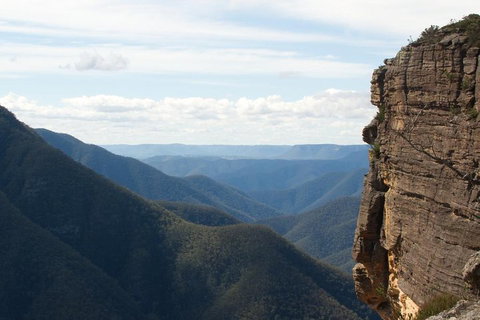 Inside The Greater Blue Mountains World Heritage - A Wildlife Safari Overnight - Restaurant Gold Coast 4
