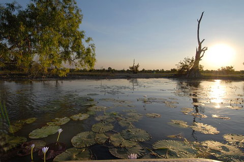 Top End Waterfalls And Wetlands - Restaurant Gold Coast 4