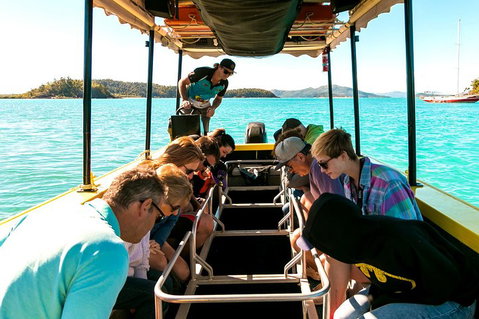 Airlie Beach Glass Bottom Boat Tour - Restaurant Gold Coast 1