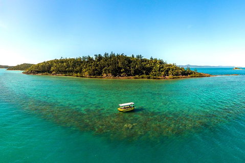 Airlie Beach Glass Bottom Boat Tour - Restaurant Gold Coast 3