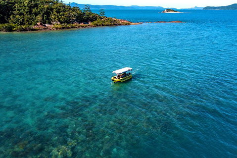 Airlie Beach Glass Bottom Boat Tour - Restaurant Gold Coast 4