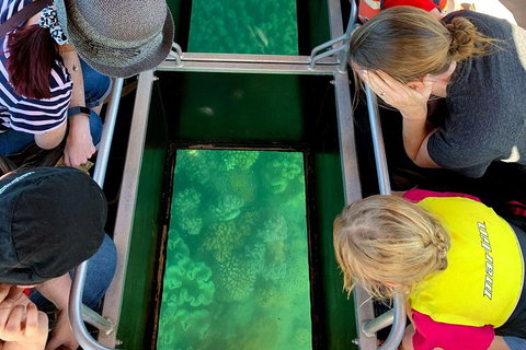Airlie Beach Glass Bottom Boat Tour - Restaurant Gold Coast 5