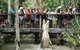 Hartley's Crocodile Adventure Half-Day Tour - thumb 1