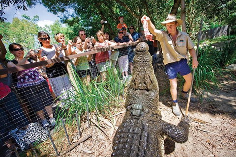 Hartley's Crocodile Adventure Half-Day Tour - Restaurant Gold Coast 4