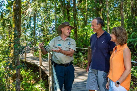 Kuranda Scenic Railway Day Trip From Cairns - Restaurant Gold Coast 1