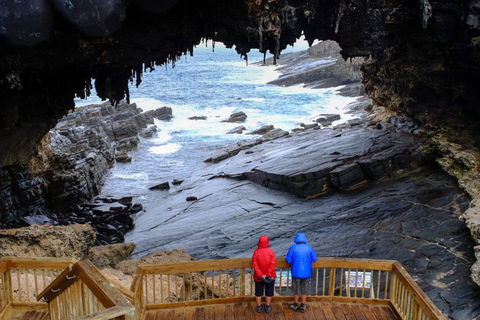 Full-Day Kangaroo Island Safari From Penneshaw - Restaurant Gold Coast 1