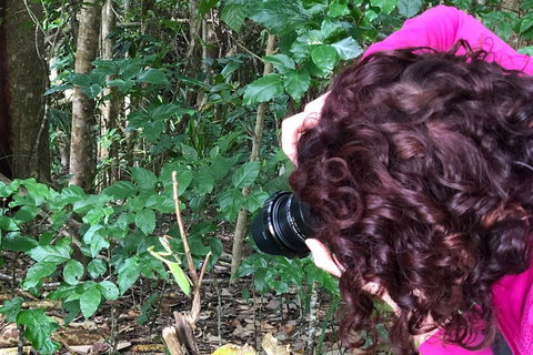 Let's Go Buggin & Let's Go Shroomin - Photography & Nature Walking Tours - Restaurant Gold Coast 1