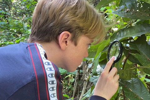 Let's Go Buggin & Let's Go Shroomin - Photography & Nature Walking Tours - Restaurant Gold Coast 3