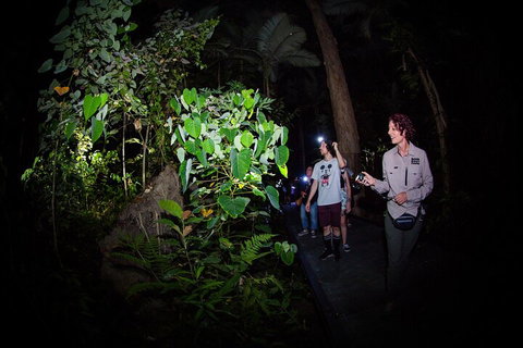 Let's Go Buggin & Let's Go Shroomin - Photography & Nature Walking Tours - Restaurant Gold Coast 4