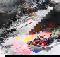 Barron Gorge National Park Half-Day White Water Rafting from Cairns or Port Douglas - Restaurant Gold Coast