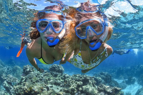 Great Barrier Reef Snorkeling And Diving Cruise From Cairns - Restaurant Gold Coast 3