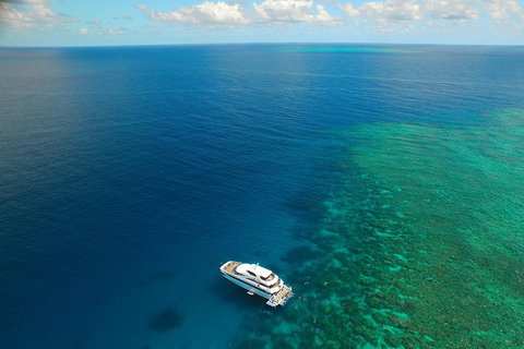 Great Barrier Reef Snorkeling And Diving Cruise From Cairns - Restaurant Gold Coast 4
