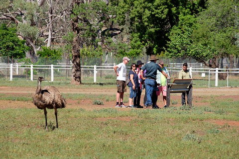 Yura Udnyu - Our Culture, Your Culture (Aboriginal Cultural Walk) - Restaurant Gold Coast 1