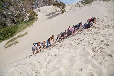 3 Day Tasmanian Wild West Coast Tour From Hobart To Launceston - Restaurant Gold Coast 2