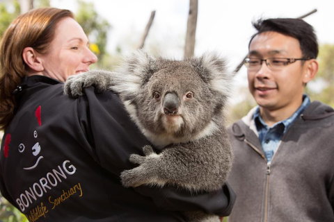 Bonorong Wildlife Park And Richmond Afternoon Tour From Hobart - Restaurant Gold Coast 0