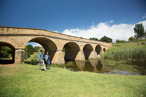 Bonorong Wildlife Park And Richmond Afternoon Tour From Hobart - Restaurant Gold Coast 2