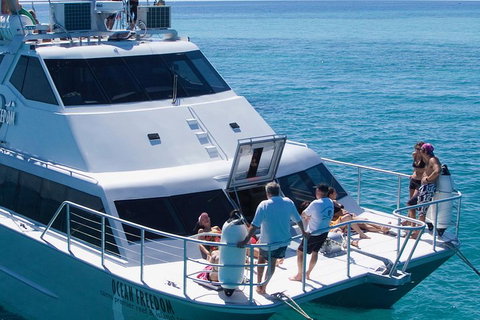 Ocean Freedom Great Barrier Reef Personal Luxury Snorkel & Dive Cruise, Cairns - Restaurant Gold Coast 1