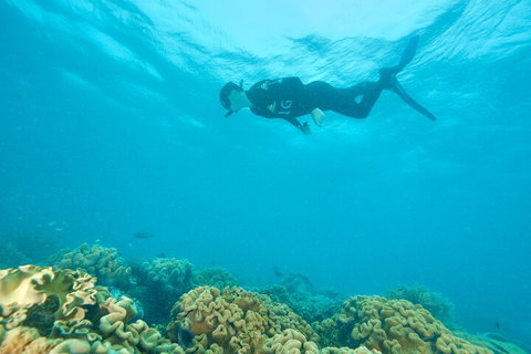 Ocean Freedom Great Barrier Reef Personal Luxury Snorkel & Dive Cruise, Cairns - Restaurant Gold Coast 5