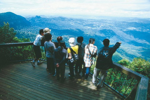 Springbrook National Park & Gold Coast Full Day Luxury Tour From Brisbane - Restaurant Gold Coast 0