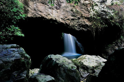 Springbrook National Park & Gold Coast Full Day Luxury Tour From Brisbane - Restaurant Gold Coast 2