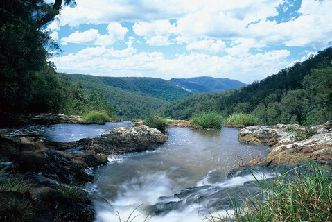 Springbrook National Park & Gold Coast Full Day Luxury Tour From Brisbane - Restaurant Gold Coast 3
