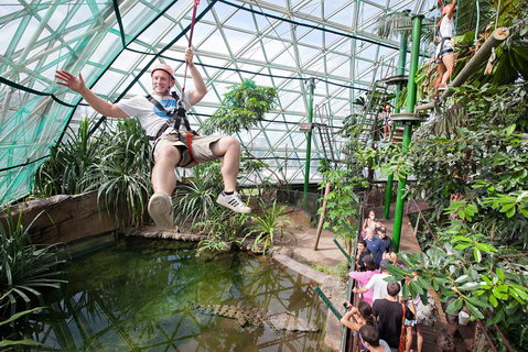 Cairns ZOOM And Wildlife Dome - Restaurant Gold Coast 4