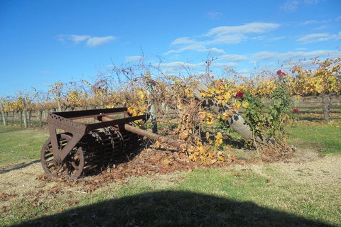 Swan Valley Tour From Perth: Wine, Beer And Chocolate Tastings - Restaurant Gold Coast 3