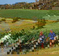 10 Day Perth to Adelaide Private Tour - The Great Australian Wilderness Journey - Restaurant Gold Coast