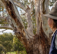 NEW TOUR - Kangaroo Island Road to Recovery Tour 1 Day/1 Night - Restaurant Gold Coast