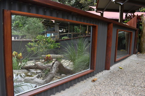 Kuranda Koala Gardens And Birdworld Admission Tickets - Restaurant Gold Coast 4
