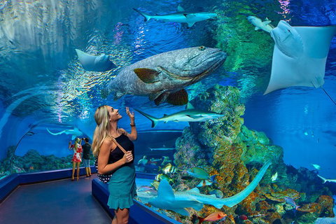 Cairns Aquarium Admission Ticket - Restaurant Gold Coast 3