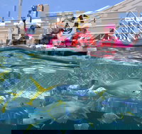 Outer Reef Pontoon Experience from Cairns - Restaurant Gold Coast