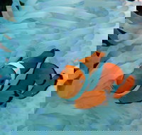 Seastar Luxury Outer Great Barrier Reef Island and Reef Tour from Cairns - Restaurant Gold Coast