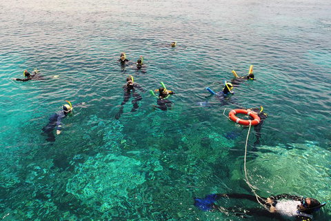 Seastar Luxury Outer Great Barrier Reef Island And Reef Tour From Cairns - Restaurant Gold Coast 2