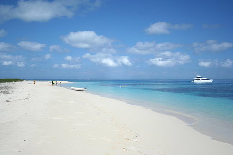 Seastar Luxury Outer Great Barrier Reef Island And Reef Tour From Cairns - Restaurant Gold Coast 3