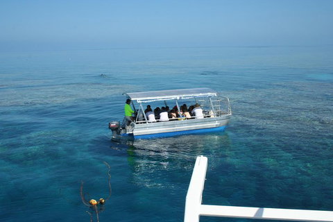 Seastar Luxury Outer Great Barrier Reef Island And Reef Tour From Cairns - Restaurant Gold Coast 5