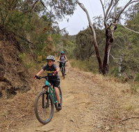 Mount Lofty Descent Bike Tour from Adelaide - Restaurant Gold Coast