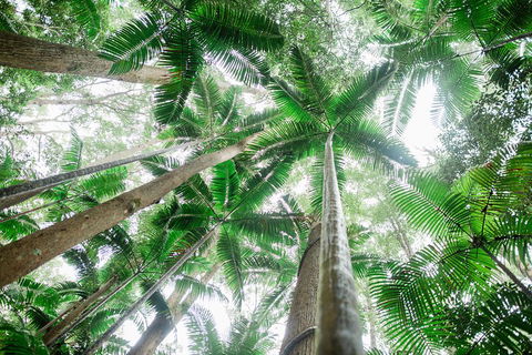 Fraser Explorer K'gari 2-Day Tour - Restaurant Gold Coast 2