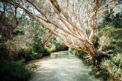 3-Day Fraser Island Resort Package - Restaurant Gold Coast 5