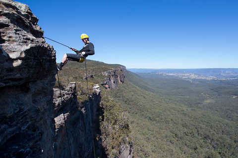 Half-Day Abseiling Adventure In Blue Mountains National Park - Restaurant Gold Coast 1
