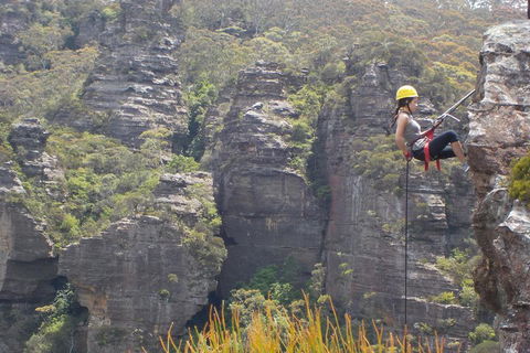 Half-Day Abseiling Adventure In Blue Mountains National Park - Restaurant Gold Coast 4