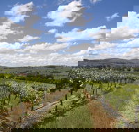 Hunter Valley Wine Tour from Sydney incl Lunch Cheese Chocolate and Distillery - Restaurant Gold Coast