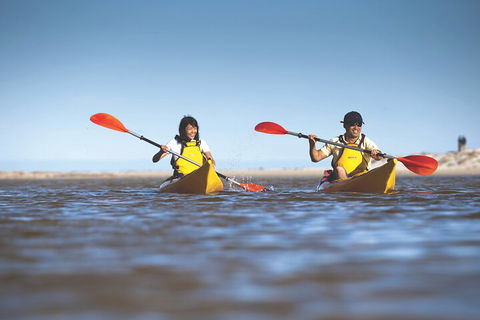 Kangaroo Island Self-Guided Kayaking On The Harriet River - Restaurant Gold Coast 2