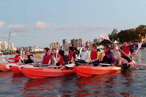 Brisbane River Guided Evening Tour By Kayak - Our Most Popular Tour - Restaurant Gold Coast 0